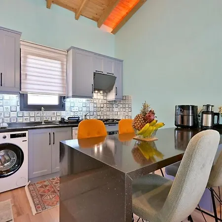 Willa Ozbi 2-villa With Ootdoor Heated Pool For 4 People In