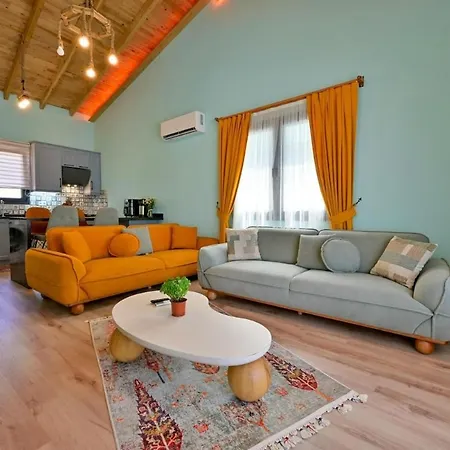 Ozbi 2-villa With Ootdoor Heated Pool For 4 People In 费特希耶