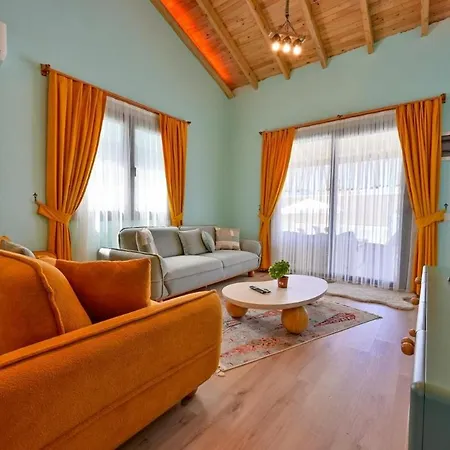 Villa Ozbi 2-villa With Ootdoor Heated Pool For 4 People In Fethiye